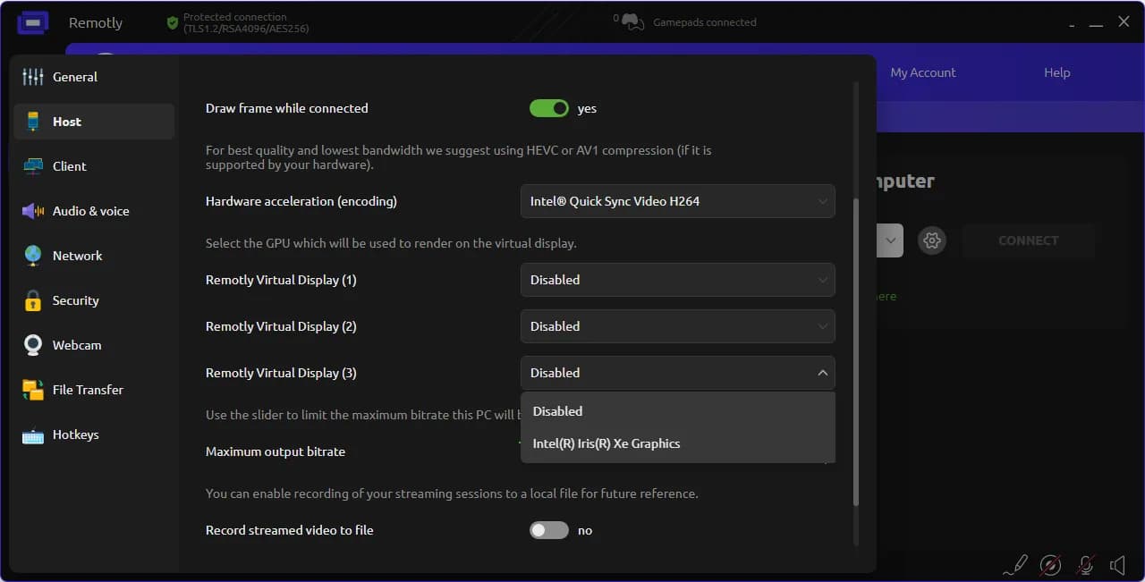 Remotly settings — assigning a GPU to virtual displays